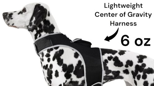 Inexpensive Dog Locator Device Waterproof + Perimeter Fencing Settings Size:XXL